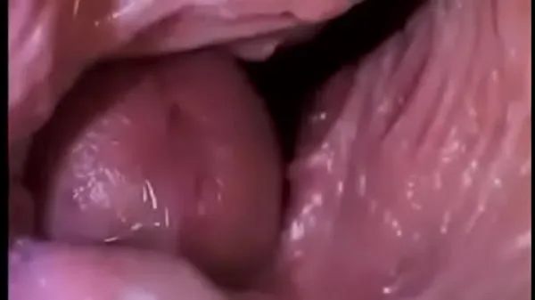 Hot Dick Inside a Vagina clips Clips